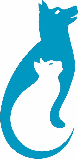Tiermedizinische Praxisassistentin